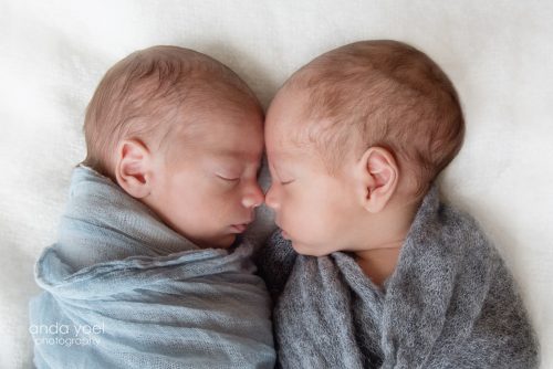 תאומים בנים עטופים בבד בצבע תכלת מביטים זה בזה מתוך סשן צילומי ניובורן תאומים בסטודיו