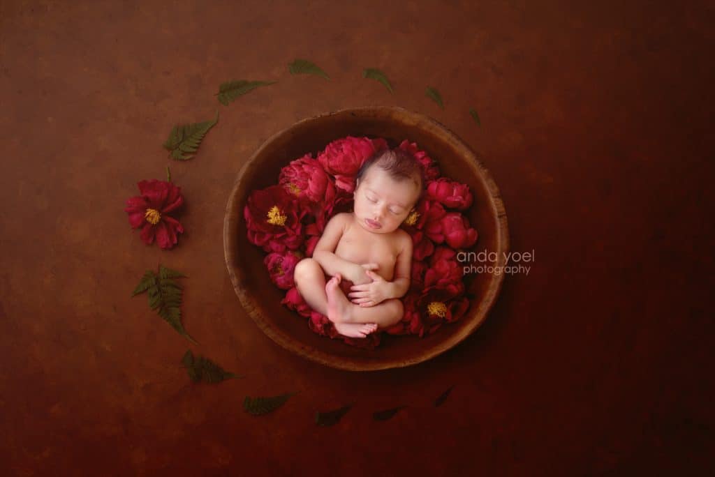 תינוקת בסלסלת עץ וורדים אדומים - צילומי ניובורן בסטודיו אנדה יואל